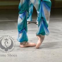 Siberian Swan pointe shoes