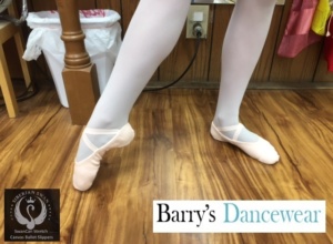 SwanCan at Barry's Dancewear store in Arizona